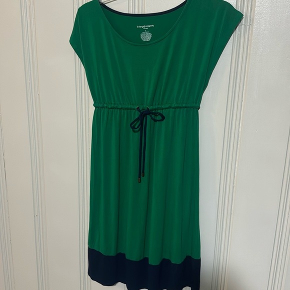 Liz Lange Dresses & Skirts - Green & Navy Color Block Maternity Dress w/ Elastic & Drawstring Waist - Small